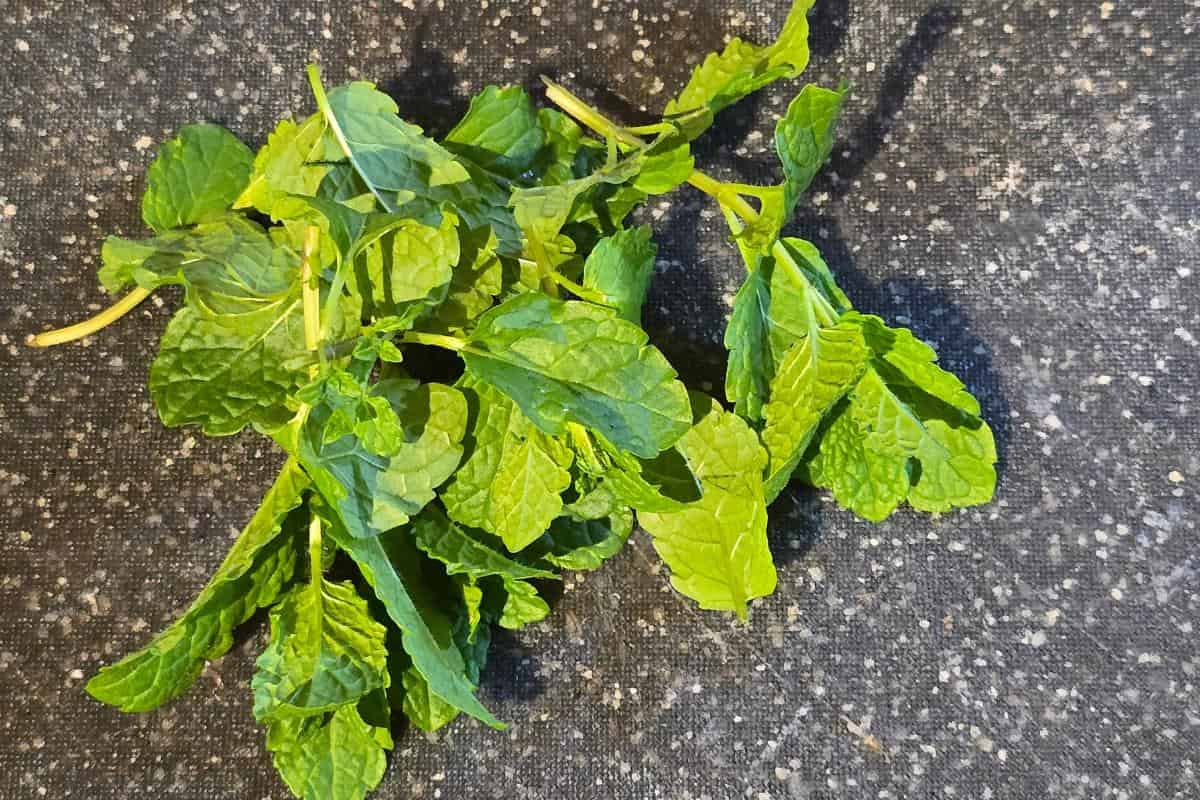 Fresh green mint leaves rest on a dark speckled surface, perfect for crafting a minted lamb burger.